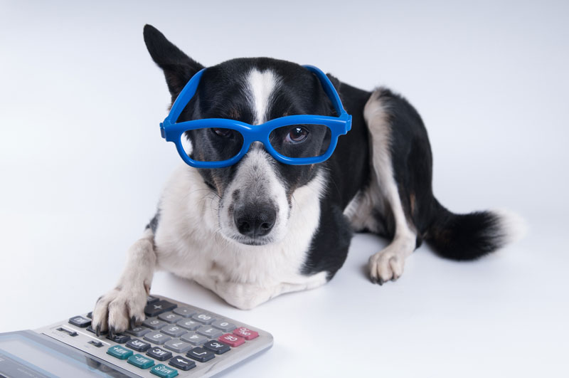 Richard Lindsey’s Under-Utilized Pet Tax Deductions