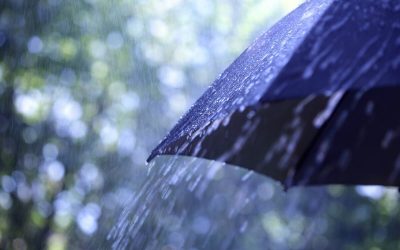 Richard Lindsey’s Case for Umbrella Insurance